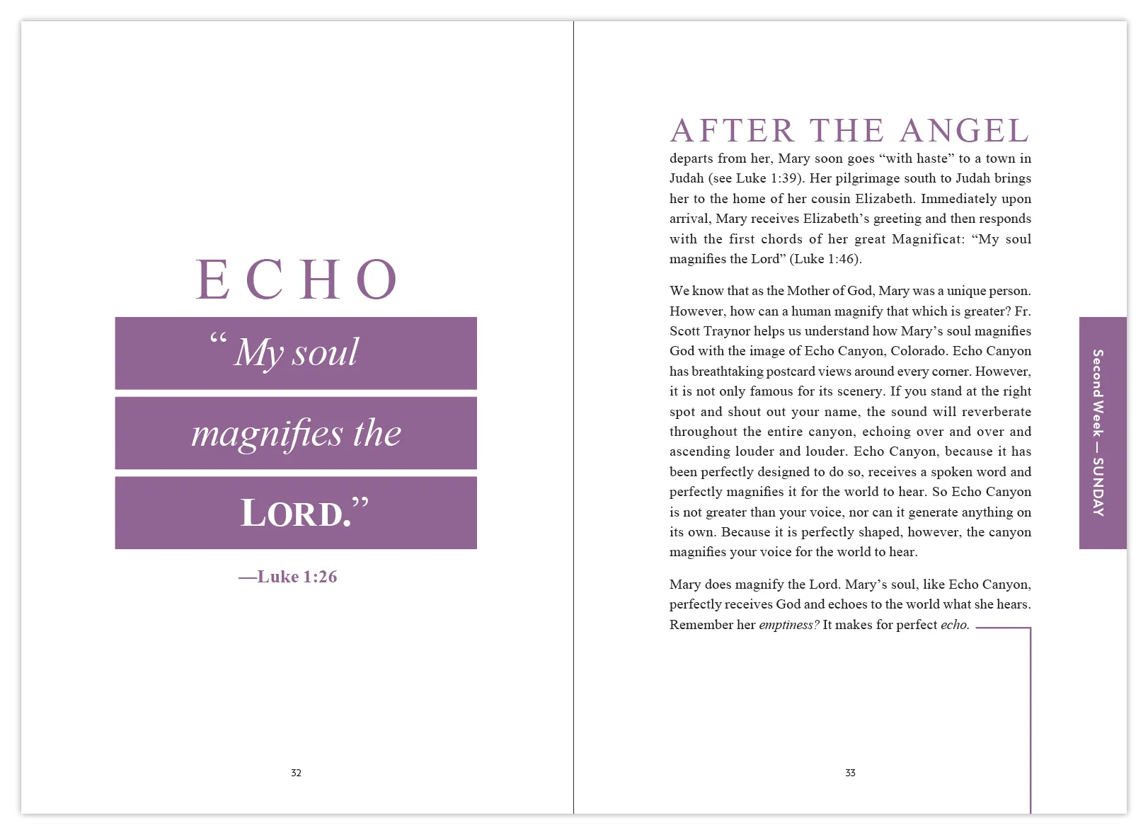 Rejoice! Advent Meditations with Mary, Starter Pack - Image 5