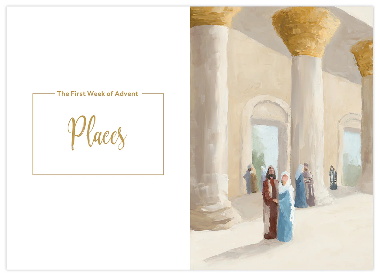 Rejoice! Finding Your Place in the Advent Story, Starter Pack - Image 2