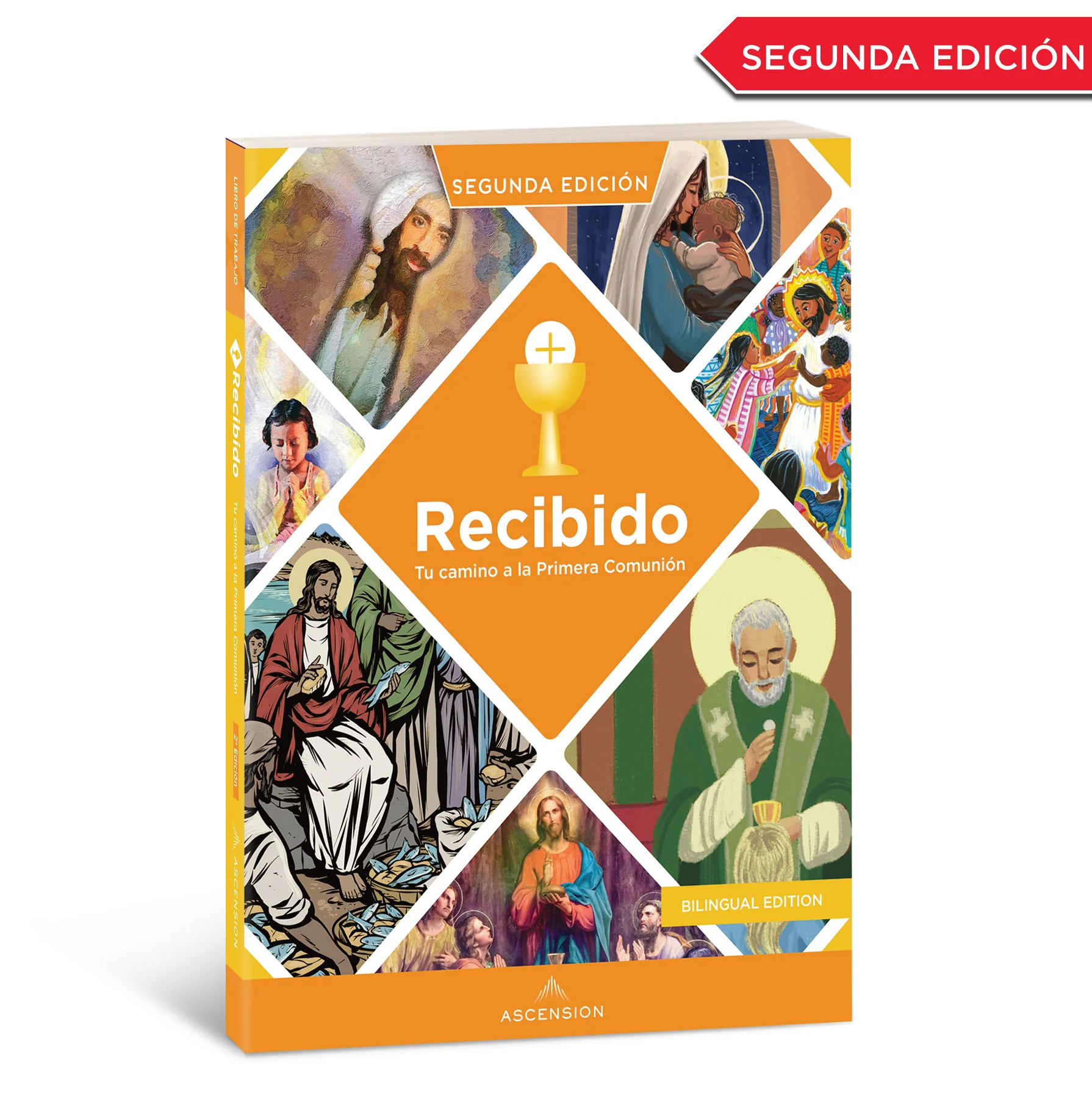 Renovado y Recibido: Paquete de inicio completo [2da. Edición] (incluye acceso en línea para el líder en ambos programas) - Image 24